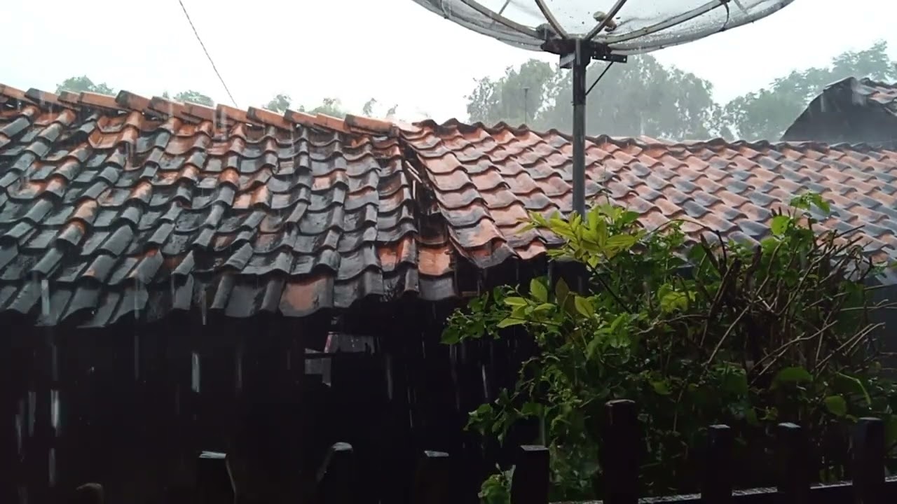 ASMR Heavy rain in the village