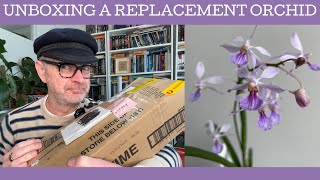 Unboxing a replacement orchid!