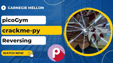 picoGym (picoCTF) Exercise: crackme-py