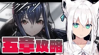 白上フブキ、Youtube、ライブ、live、ユーチューブ