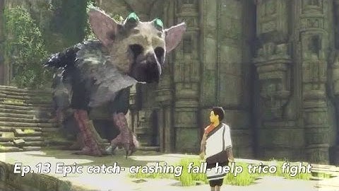 THE LAST GUARDIAN WALKTHROUGH PART 13 / NO COMMENTARY / EPIC CATCH- CRASHING FALL- HELP TRICO FIGHT