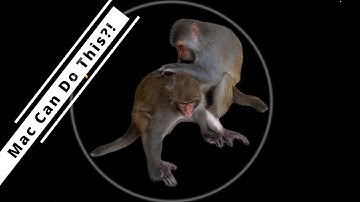 You Won’t Believe This Mac Feature! One Click = Background Gone