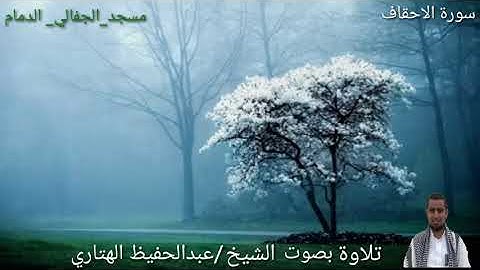تلاوة من سورة الاحقاف بصوت الشيخ عبد الحفيظ الهتاري ..