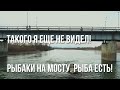 Колыма. Рыбалка в Сусумане. Такого я не видел. Рыба есть! DJI Mavic 2 Zoom