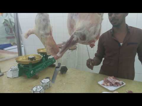 ملحمة اولاد امدرمان 