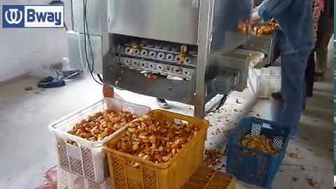 How to destone apricot plum peach cherry?