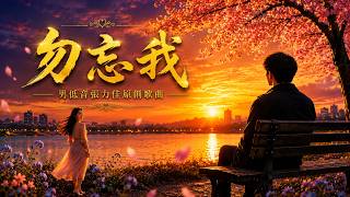 《勿忘我》| 男低音張力佳原創歌曲 | Forget Me Not|Original Song by Bass Zhang Lijia