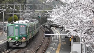 【お茶の京都ラッピング・桜】JR西日本 221系 NC604編成 普通王寺行 河内堅上駅 発車(後追い)