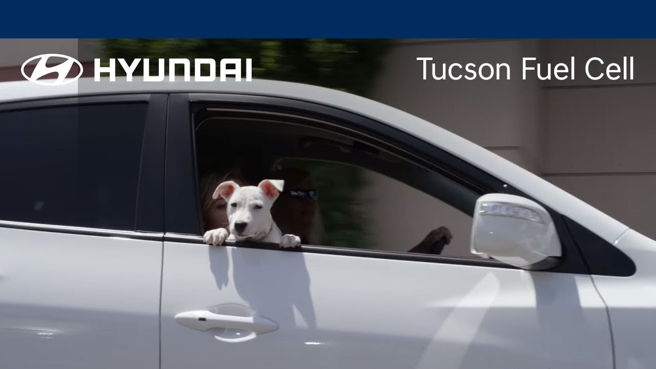 1st Year Owner Story | Tucson Fuel Cell | Hyundai
