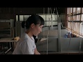 美濃手漉き和紙工房/保木工房/カミノシゴト/minowashi /kaminoshigoto