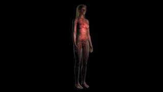Cassiopeia Project - Biology 5 - Female Anatomy