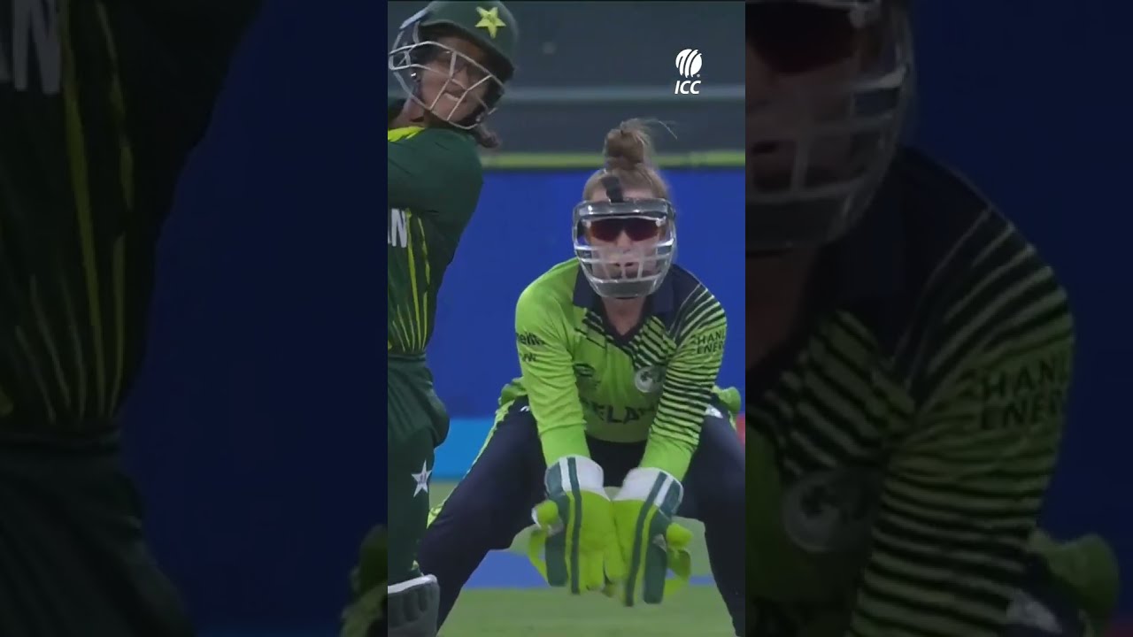 So That S Where The Ball Went YTShorts CricketShorts