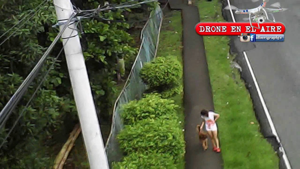 Drone Espiando Hermosa Chica Paseando Su Perro Hd Youtube