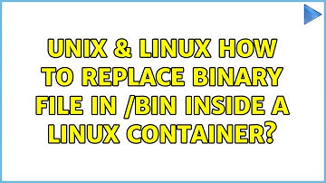 Unix & Linux: How to replace binary file in /bin inside a Linux container?