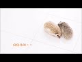 【男性向け・低音ﾎﾞｲｽ】寝てるキミにいたずらする彼女 Japanese situation voice ASMR【シチュエーションボイス・男性向けボイス】