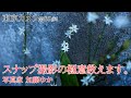 「スナップ撮影の極意教えます」 &alpha;7IV a7iv + FE40mmF2.5G 東京カメラ第85歩I 写真家 加藤ゆか 初心者カメラ上達講座