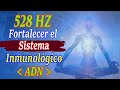 528 HZ Restaura y Fortalece tu Sistema Inmunológico con ésta Frecuencia