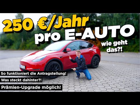 250€ pro JAHR fürs E-AUTO bekommen? - So stellt / upgraded man den Antrag! | Tips, Tricks & More