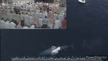 ما تيسر من سورة الأنبياء للقارئ عبدالعزيز الأحمد