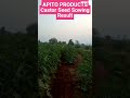 Video Image