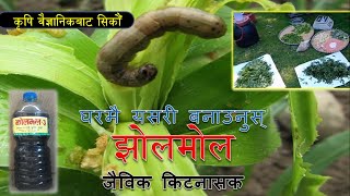 झोलमोल बनाउने तरिका | मकैको फौजी किरा मार्न झोलमोल हालौँ | Botanical pesticide | Procedure in Video