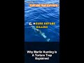 Why Marlin Hunting Is A Torture Trap Explained