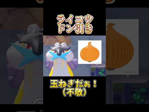 ぽこポケでライコウと出会った異常者 #ポケモン #pokemon #ぽこあポケモン