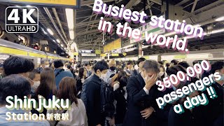 【4K】All about Shinjuku Station, during rush hourBinaural Tokyo Sounds / DJI Pocket 2