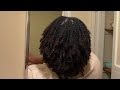 Loc Update| Small Traditional Locs