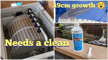 Profi Drum screen clean + measure up, great growth this year