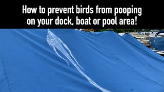 How to prevent birds from pooping on your dock, boat or pool area!