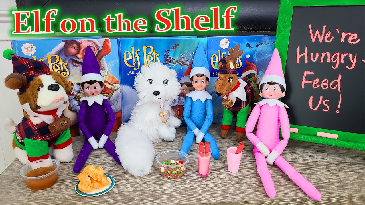 Elf on the Shelf - Elf Pets!!! Day 2! 