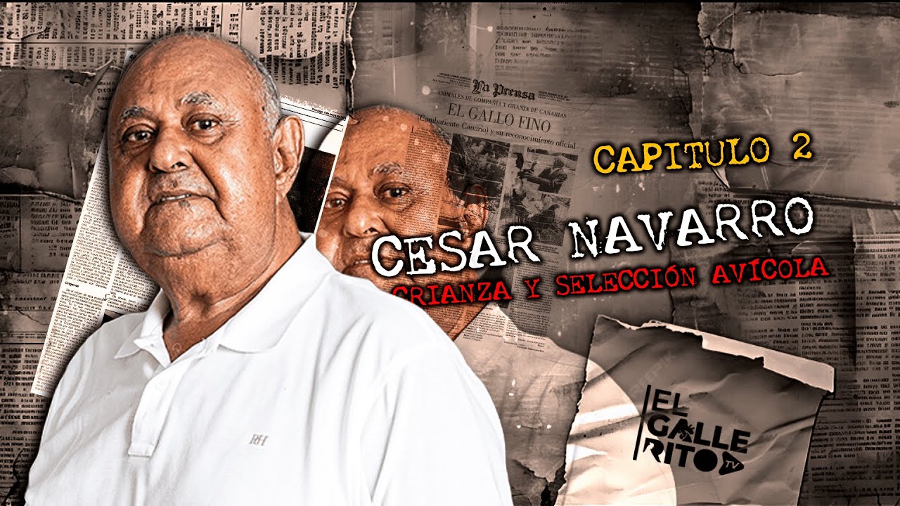 Capítulo 2 – La historia de Niñito y el impacto de Rafael Perelló en su formación
