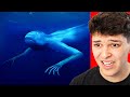 Deep Sea Creatures You Didn't Know Existed...