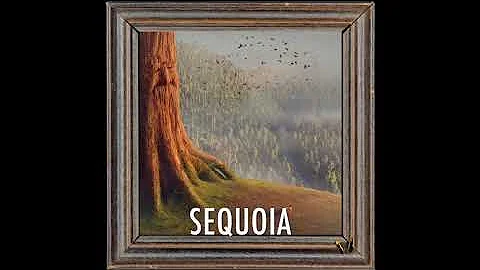 Sequoia, by Helen Jane Long (official video)