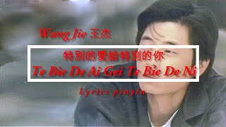 Wang Jie 王杰  - Te Bie Di Ai Gei Te Bie De Ni   Sky Wu 特別的愛給特別的你 Lyrics Pinyin