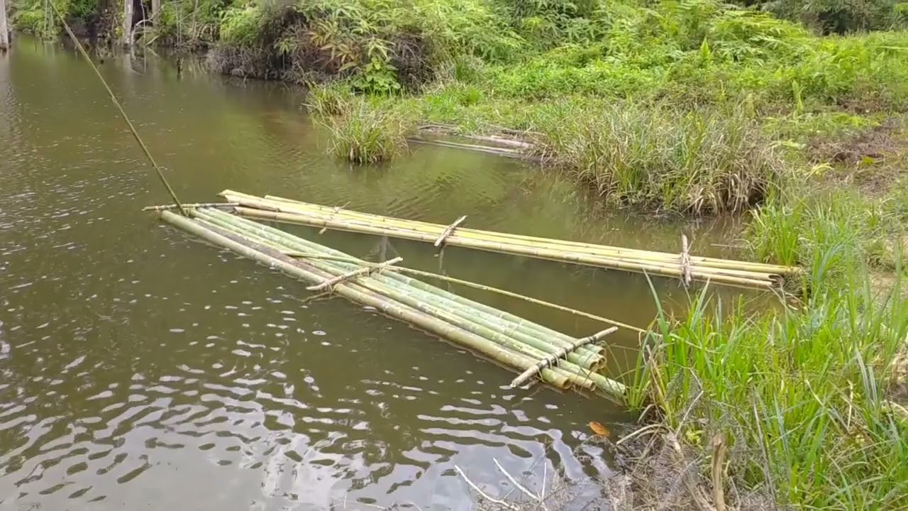 jalan -jalan kg orang asli pos tenau ulu slim Perak