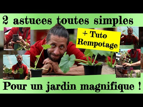 2 astuces pour