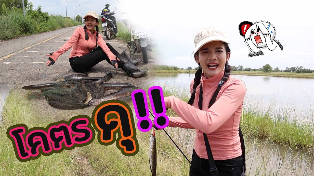 ช่อนนาบ้าพลัง!! กัดวันเป็นร้อย #ช่อนข้างทาง #เมย์มี่ #mayme