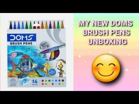 Unboxing my new DOMS brush pens 🖌🖊 #himanshi #creative #ideas #domsbrushpens #unboxing