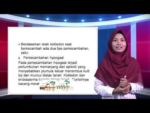 E-Learning Terminologi Morfologi, Mona Fathia, M.Si Part 1