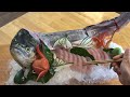 Epic Seafood Slicing Spectacle: Mesmerizing Sashimi Mastery 🍣✨