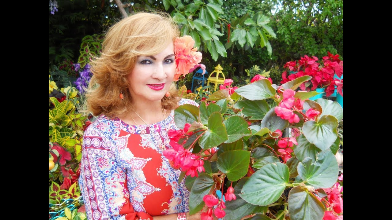 Tour completo  por mi Espectacular Jardín  | Garden Tour | Jardinoterapia | Abril 2018