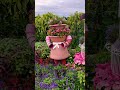 台中新社花海節。A flower exhibition in Taichung, Taiwan.