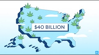 Green Rush: Principles for Taxing Cannabis | TaxEDU Explainers