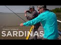 Pesca al vuelo - SARDINAS en el GUAZU! con Pablo Gonzalez