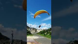 Baboon attacks paraglider to protect baby