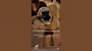 إصدار نادر تلاوة قديمة للشيخ السديس