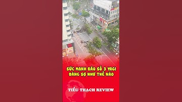 Sức mạnh bão số 3 Yagi đáng sợ như thế nào #shorts