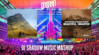 Forever & Beautiful Disaster (DJ Shadow Music Mashup) | Martin Garrix, Matisse & Sadko, Van Snyder